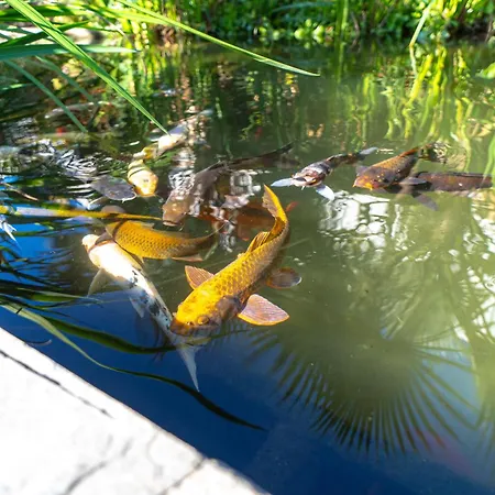 Casablanca Sunny Terrace By Casasol Apartman