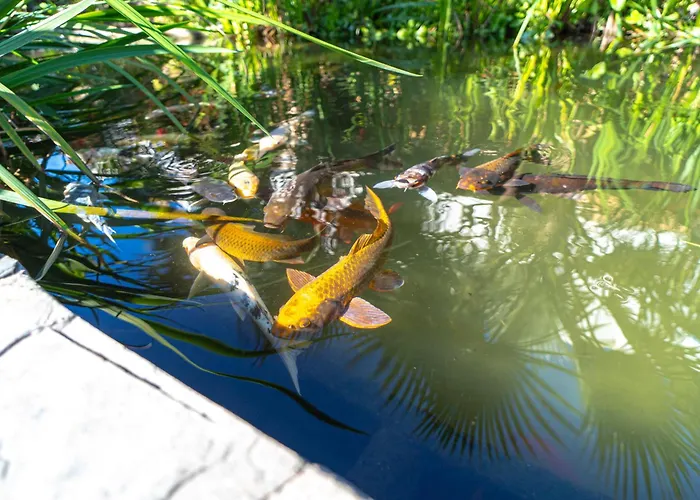 Casablanca Sunny Terrace By Casasol Апартаменты